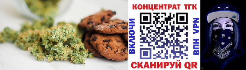 купить наркотики цена  Нововоронеж  Еда ТГК марихуана 