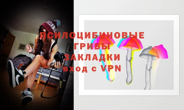 крисы Алексин