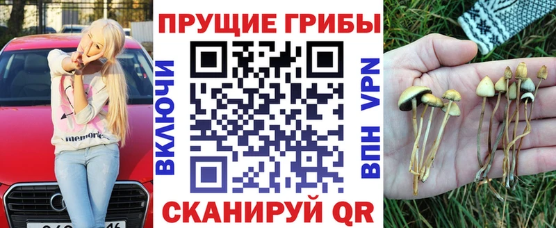 Галлюциногенные грибы мицелий купить наркотик Нововоронеж